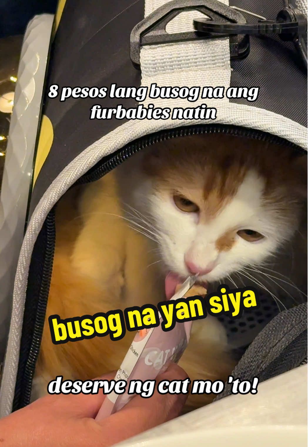 deserve rin ng furbabies natin ng masarap na food! #catfood #catfoodpouch #furbaby #catsoftiktok 