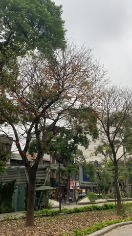 mua thu di qua anh nghe dam la goi ten #hanoi #fyp #viral 