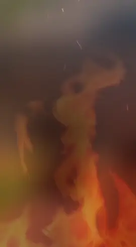 #CapCut 