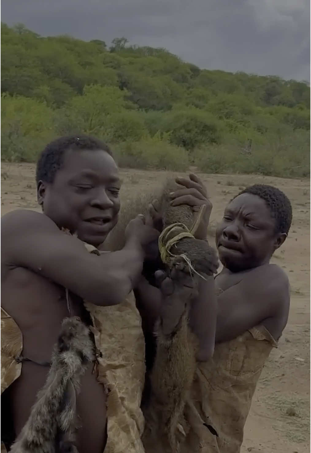Hadzabe Got a Baboon For Lunch,BABOON is their Favourite Foood #tradition #bushcraft