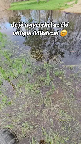 #BingoAkıllıKapsül 