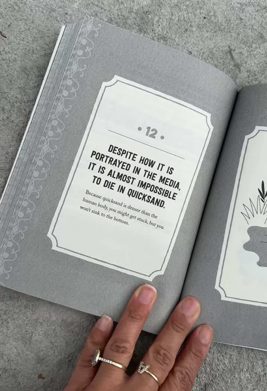 500 Nature Facts.. #BookTok #weird #learn #fun #read #intresting 