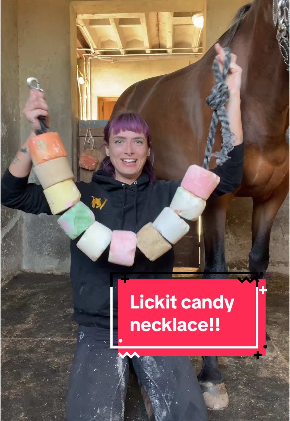 Replying to @AD 🖤 this was so much more chaotic than it needed to be #horse #equine #equestrian #horsetok #horsesoftiktok #equestrianvibes #horsebackriding #horsegirl #fyp #foryou #abcxyz 