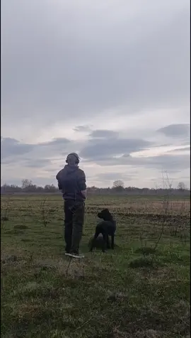 звук прям в тему.. 