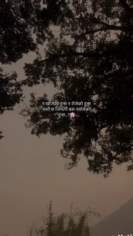 😔❣️#nepaltiktok🇳🇵 #bestcaption #keeploving #emotionalcaption🥺 #keepsupporting #surajbk842 #fypシ゚ #palpamuser #goviral 
