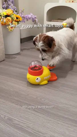 I like this toy very much.#dog #Pet #cat 