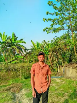 no caption