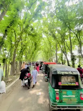ডেনেরঘাট এর অবস্থা🤥#foryou #fyp #viral #trending #view #itz_nayeem_🥰💫 