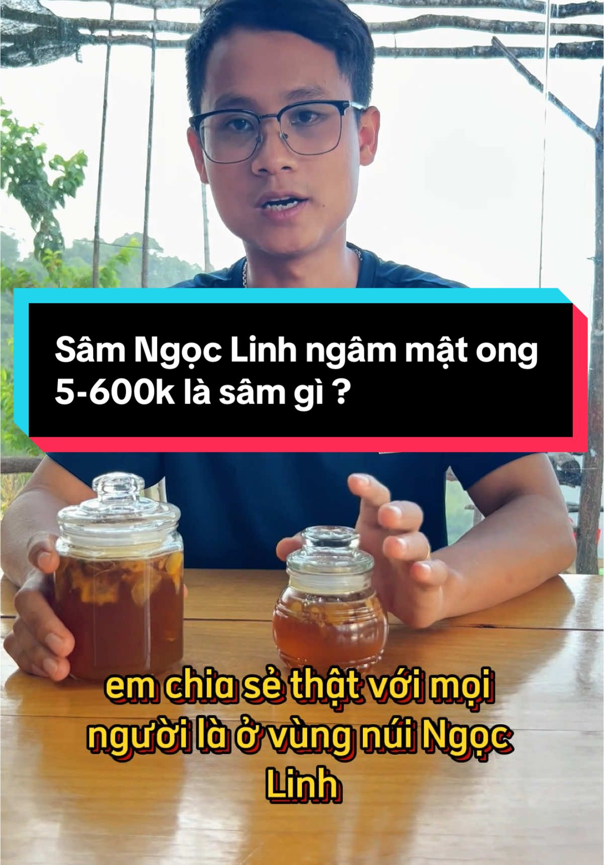 Sâm Ngọc Linh ngâm mật ong giá 500-600k thì có phải là sâm thật không ? #sam #samngoclinh #thaoduoc #samngammatong #matongrung #cuocsongtrennuingoclinh 