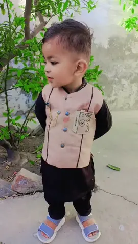 چاچوں کی جان 