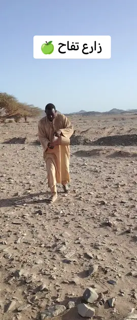 مزارع الجبال ههههههه 😅😆