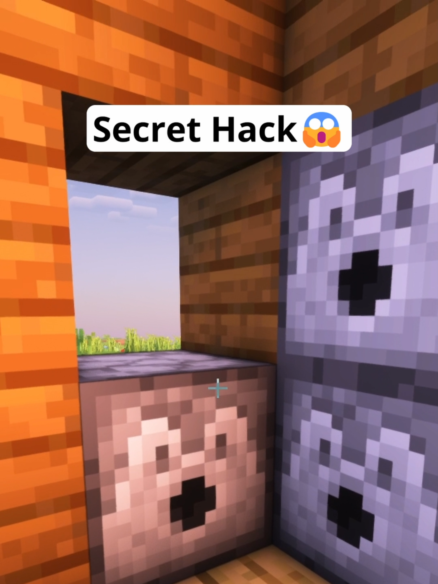 Minecraft Secret Hack😱 #Minecraft #minecrafttutorial #fyp