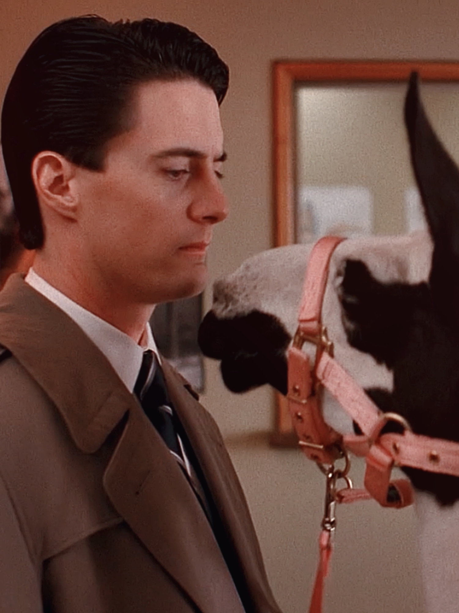 there was a fish... in the percolator.                      [ cc mhd, sc blitzfilms, ac me ]               @michaelmunroe @furcillos          #DALECOOPERFATHERMYKIDS#fyp #edit #viral #twinpeaks #dalecooper #agentcooper ##yellowjackets #paramount #shaunashlpman