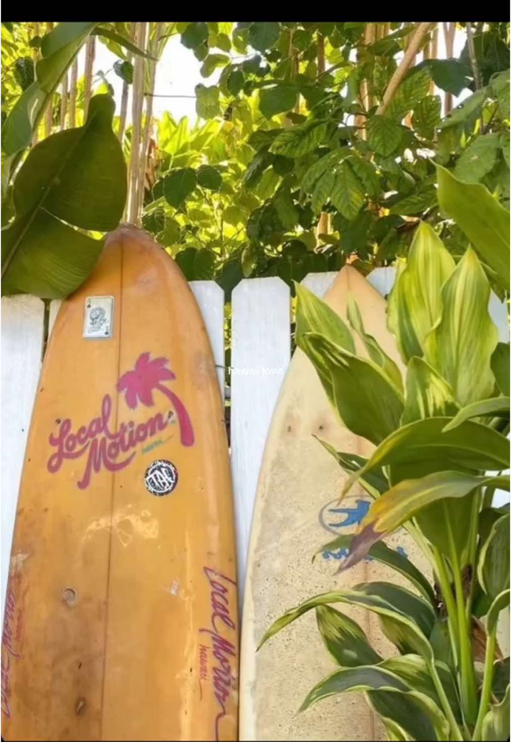#hawaii #hawaiitiktok #hawaiilife #hawai #hawaiian #hawaiicheck #hawaiitok #mauihawaii #maui #honolulu #honoluluhawaii #asthetic #pinterest #travel #traveltiktok #traveltok #travellife #traveling #holiday #vacation #hawaiivacation #fy #fyp #foryoupage #reisen #reise #america #amerika 