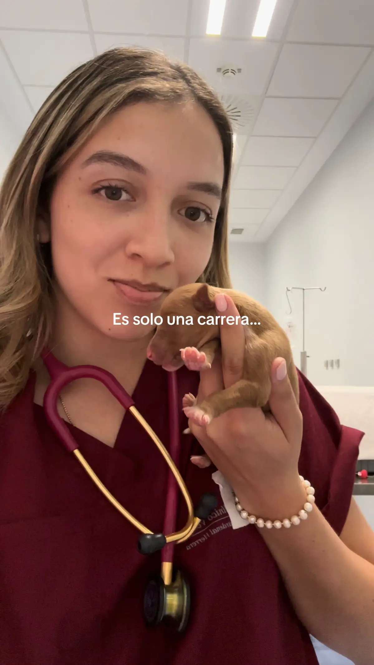 Veterinaria la carrera mas bonita🤍 #veterinaria #medicinaveterinaria #medvet 