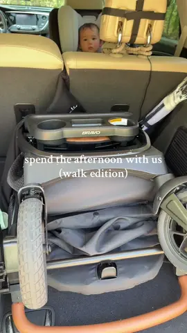 i need a stroller mirror so he can see me, he hatessss his stroller currently 