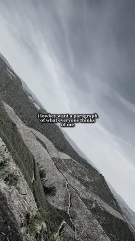 #CapCut 