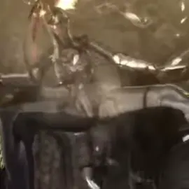 Yassss #bayonettatiktok #bayonetta #BAYONETTA #bayonettatiktok #bayonetta1 #bayonettameme #bayonettamemes 