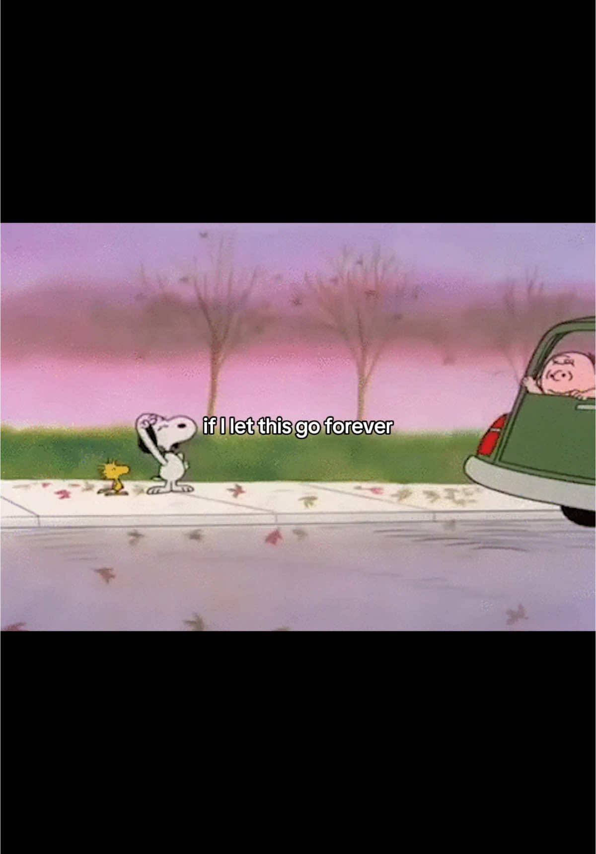 maybe I will, someday, let this go forever #snoopy #snoopyedit #charliebrown #lizzymcalpine 