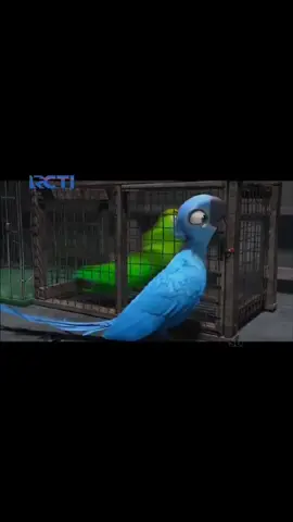 Bagian 8 end | Rio Dubbing Indonesia  #rio #kartundubindo #movie #film 