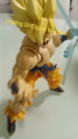 posing SHFiguarts goku thanks to my dad@The pizza king #bored #dragonball #goku #figtok #foryoupage 