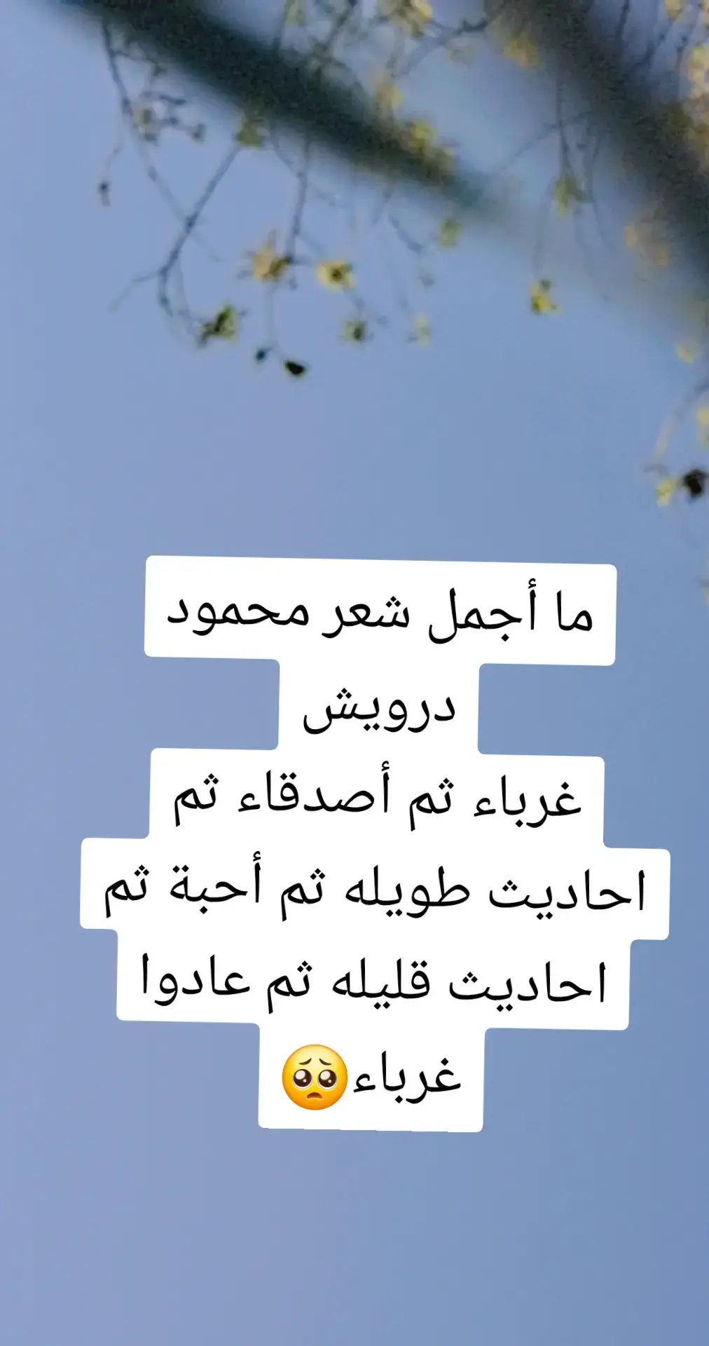 #شعر #محمود_درويش @❤️غزل 
