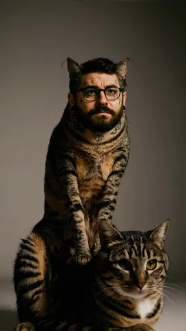 Cats are mean.  #cat #catsoftiktok #uncanny #pets #funny #meme 