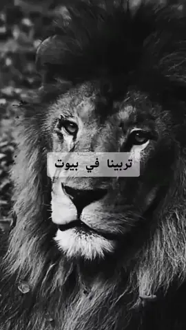 ‏#دويتو مع @أبو نايف #ثقافة #معنى الرجوله #علاقة 