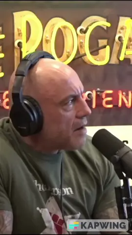 Joe Rogan Konstantin Kisin on Palestine Protests #palestine #joerogan #joeroganpodcast #protest #immigration