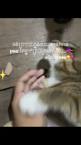 💞💞#fyp #foryoupage #foryou #foryou #នាទីធ្លាក់like💔🙃 #ចង់ល្បីដូចប្រូដែរ😹🤣🤣🤣🤣 