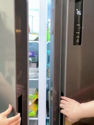 Hộp Đựng Gia Vị Rau Củ Quả Cửa Bên Tủ Lạnh, Chất Liệu Nhựa Trong Suốt, Hộp Tươi Thực Phẩm
