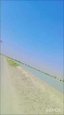 #viralvideo #foryoupage❤️❤️ smart boy 786