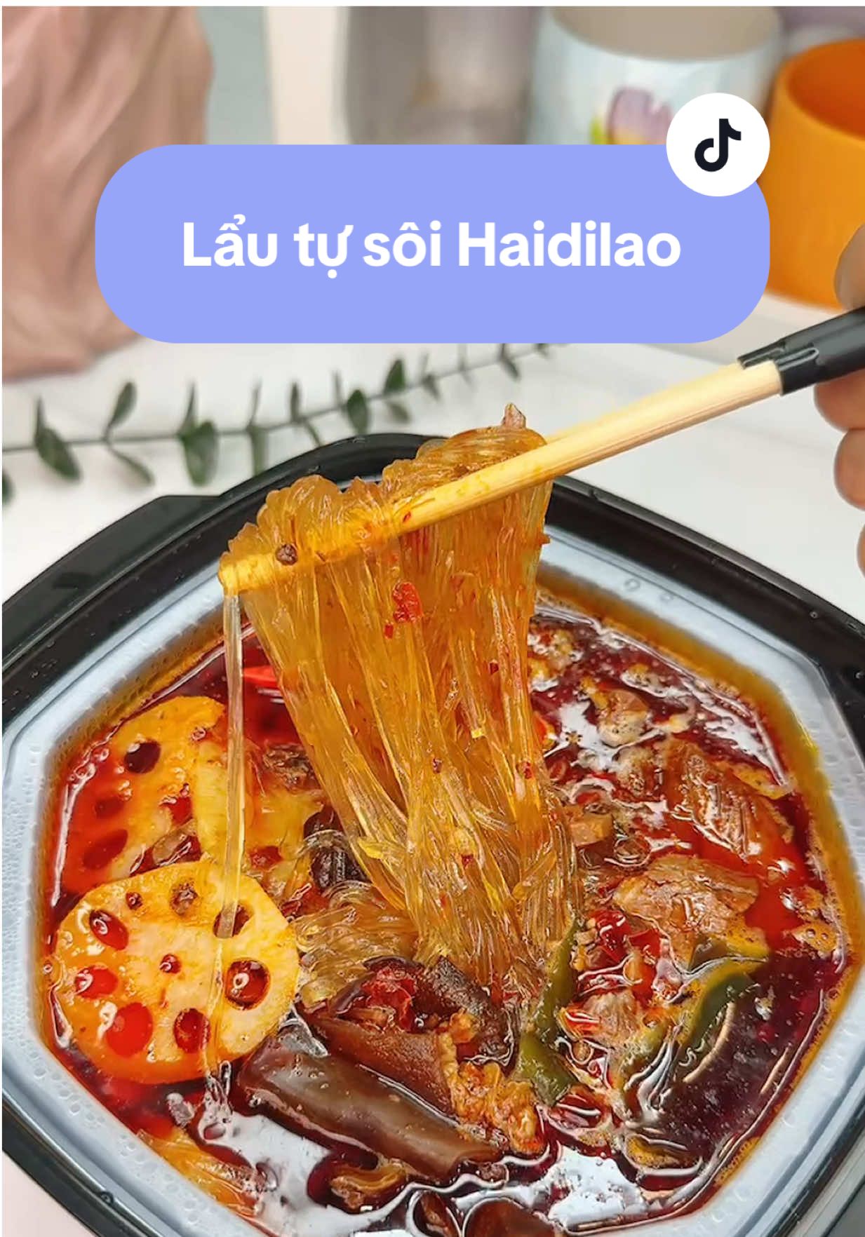 Lẩu tự sôi Haidilao lần đầu ăn mà ngon quá #lẩutựsôi #lẩutựsôihaidilao #review #chebietnauan #cheonhaduithayba #trannnnnnnnnn311 #dcgr 