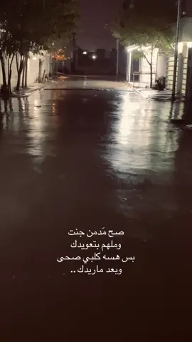 صح مَدمن جنت وملهم بتعويدك بس هسه كلبي صحى  وبعد ماريدك ..                                   #شعر_شعبي_عراقي #مالي_خلق_احط_هاشتاقات #شعر #كركوك_طريق_بغداد #علي #شعر 