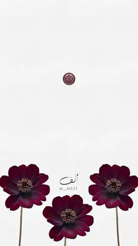 #بشارة_مولودة #بشارة_حفيده #حفيد #حفيدتي #مولودة #دعوات_الكترونيه #مالي_خلق_احط_هاشتاقات🧢 #الشعب_الصيني_ماله_حل😂😂 