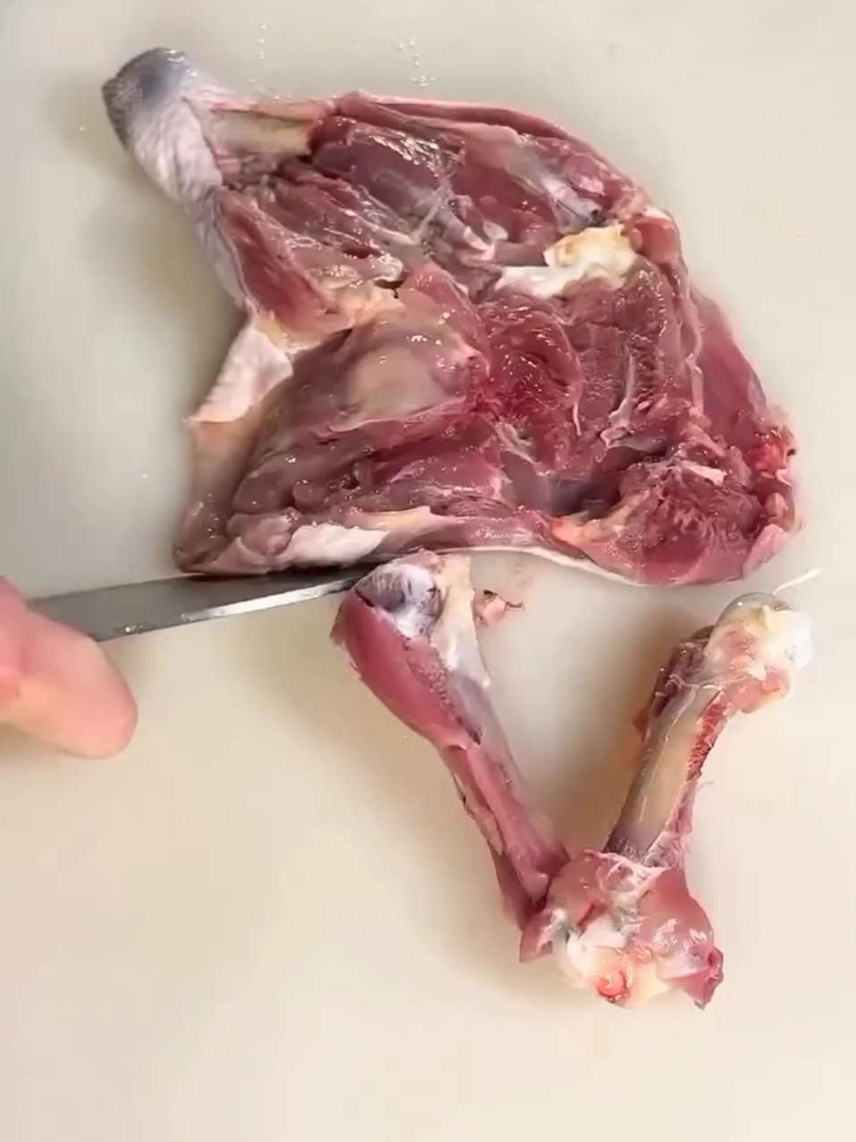 Cara Memfillet Ayam yang Benar, Bikin Masak Lebih Mudah! 🔪🐔 Mau hasil fillet ayam yang rapi dan daging tetap utuh? Kuncinya ada di teknik yang tepat! Fillet yang benar bikin tekstur ayam lebih maksimal dan bumbu meresap sempurna. ✨ Keuntungan memfillet ayam dengan cara yang benar: ✅ Daging lebih rapi & tidak banyak terbuang ✅ Masak jadi lebih cepat & merata ✅ Cocok untuk berbagai olahan, dari tumisan sampai grill 🔥 Contoh masakan dari fillet ayam: 🍗 Chicken Katsu 🍛 Ayam Teriyaki 🥗 Grilled Chicken Salad Udah coba teknik fillet yang benar? Atau masih sering gagal? Share pengalaman kalian di komen! ⬇️🔥 #FilletAyam #TipsMasakPraktis #TutorialMasak #Ayam #AyamFillet #FYP #ForYourPage 