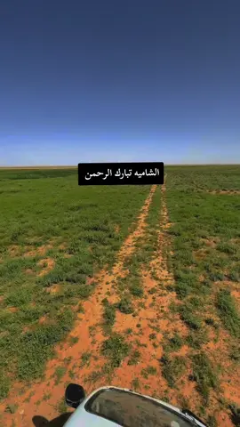 @الانـ✮͜͡ـباري✈ 