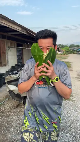 ไก่ผัดสดชื่นน🤣