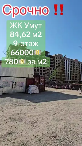 Джамгерчинова/Патрис Лумумба ЖК Умут На продаже 3х комнатная квартира всего лишь за 66000 Сдача 3-квартал 2025-года ПСО 9-этаж 84,62 м2 #кут #кутстрой #мечта #цель #купляпродажа #уй#квартираотзастройщика #квартира #недвижимостьбишкек #батир #куттанбатир #квартирыбишкек