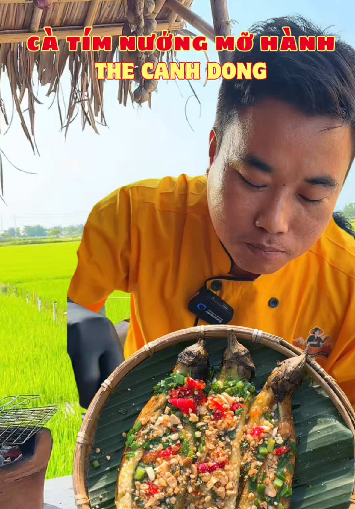 🌾 Sáng nay anh em về nhà mẹ hái t.rộm mấy trái cà tím , cùng anh em The Canh Dong làm món Cà tím nướng mỡ hành 🤤 🌾 The Canh Dong chuyên ẩm thực đồng quê Hội An. 🐸🐸🐸🐸🐸🐸🐸🐸🐸🐸🐸🐸 #thecanhdong #thecanhdonghoian #hộian #hộian #hoian #view #canhdong #viewers #xuhuong #views #langquevietnam #monngonvietnam #monngon #nhahanghoian #nhahang 