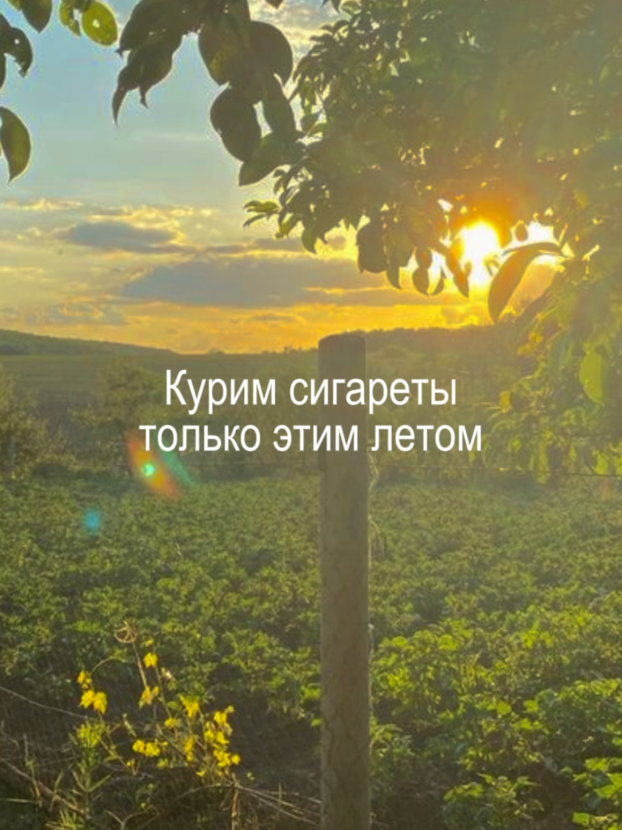 все треки в тгк- naya music, ссылка в профиле