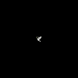 #CapCut #nottiosama #edit #🕊️ #drill 