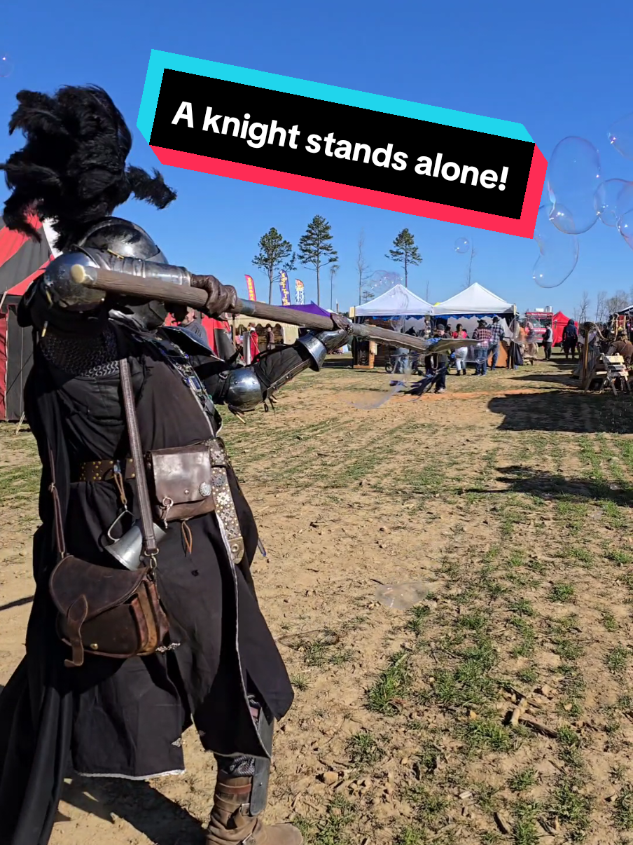 Send aid immediately! in trouble at @TheVikingExperienceNC_Official with @dustie1hap  #cosplay #knight #epic #fairy #medieval #fantasy #renfaire #battle #dnd #larp 