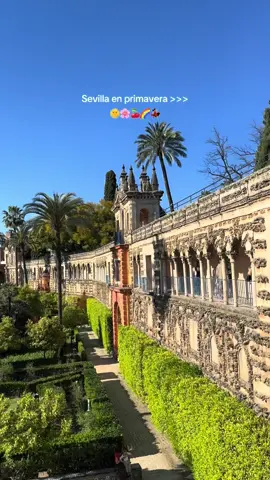 enamorada del sur🫶🏻 #sevilla #andalucia #españa #fyp