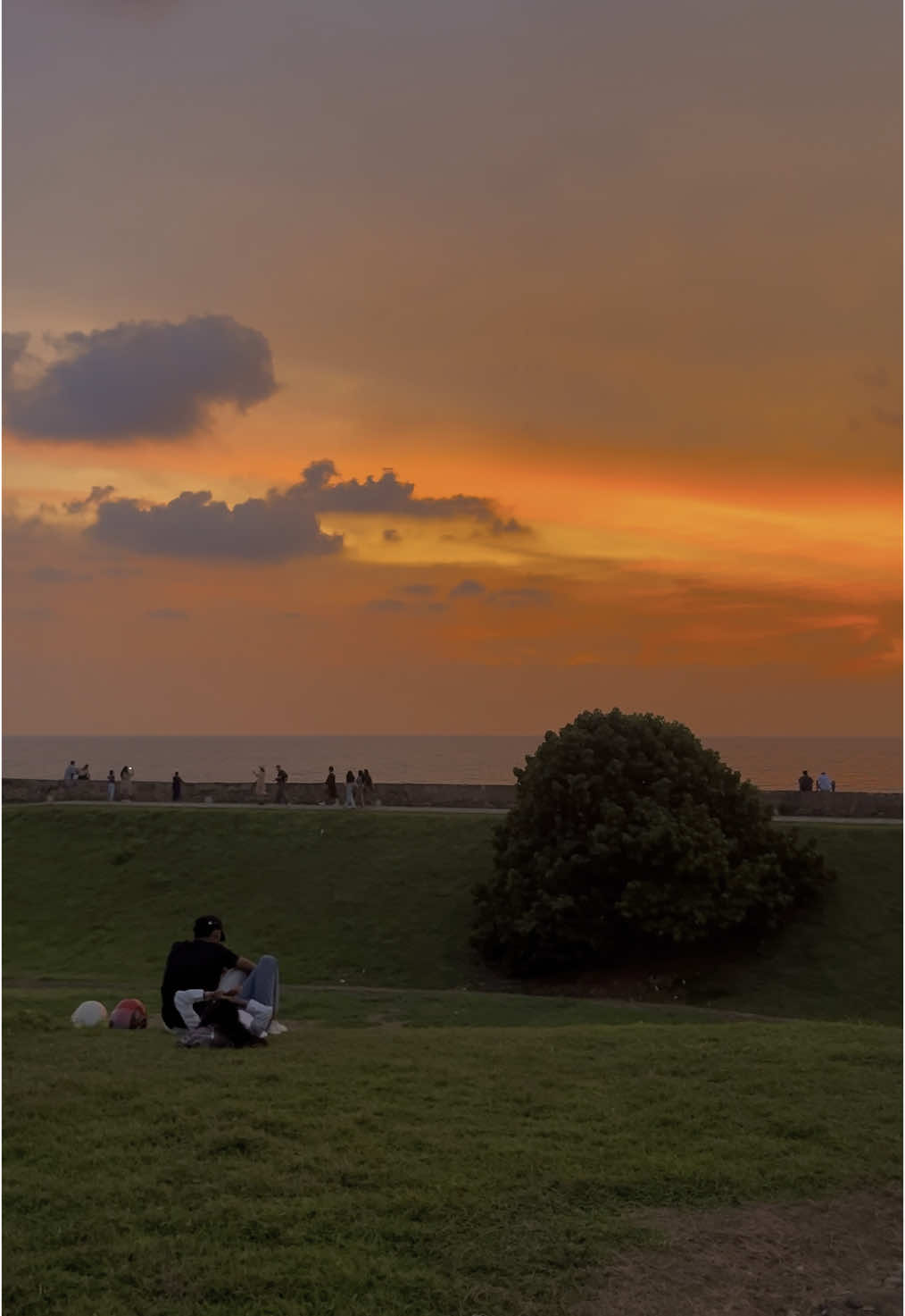 පහන් ටැබ වෙලා දිවි ගමනේ නවාතැන් සොයා...🤍✨ #srilanka #artworldlk #galle #gallefort #evening #sunset #sunsetlover #travel #viral #foryou #foryoupage #fyp #fypviralシ #place #beautiful #alone #Love #downsouth #trending #trendingsong #amendraudara #travelsrilanka #visitsrilanka 