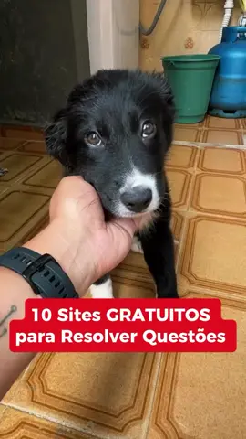 Se você não tem muito dinheiro para pagar vestir em uma plataforma de questões, aqui vão 10 sites grátis para você estudar por questões 🔥✌️ . . . . . #concurso #concursos #concursopublico #concursos2025 #estudaqueavidamuda #estudaquepassa #estudaquepassa📚 #estudaquemelhora #questoesdeconcursos #questoes 