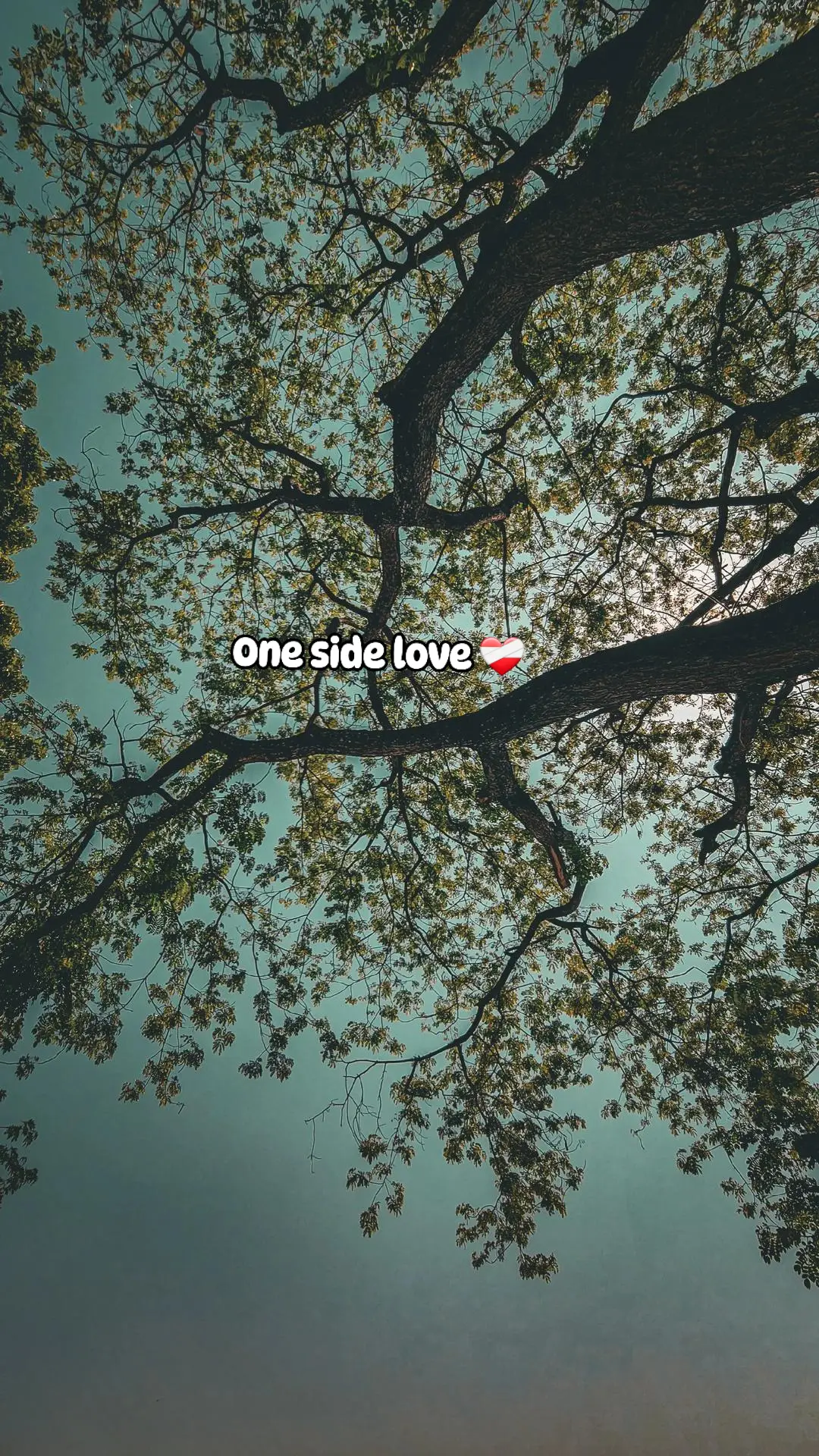 #caption❤️‍ #🥀🖤🔐 #bdtiktokofficial🇧🇩 #repust🤍 #sadvibes🥀💔 #☺️💔🥀 #sadvibes🥀 