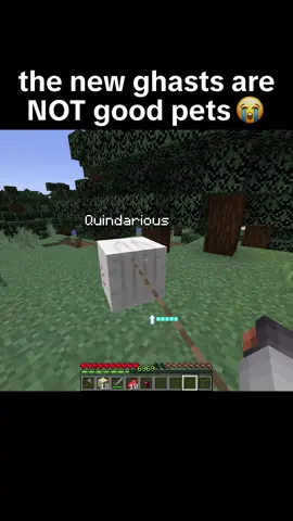 new ghasts are dumb 💀 #minecraftmemes #Minecraft #minecraftclips #minecraftmeme #minecraftclip #demonslayer #tanjiro #fyp
