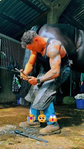 What happened to the horses? 🚀 🐴 #farrier #farriersoftiktok #asmr #satisfying #farrierlife #horse #horses #horsesoftiktok #hoof #care #animalwelfare 