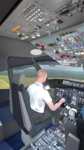 Emergency Plane Landing 😮 (explained) #EduTok #TikTokLearningCampaign 